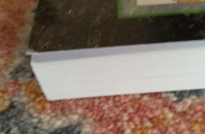 A Literary Education by Emily Cook