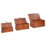 3 Piece Storage Chest Set Image 5
