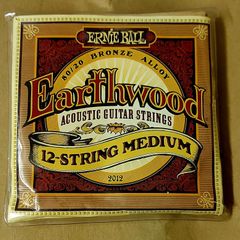 Ernie Ball Earthwind 12 string acoustic guitar strings