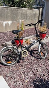 Folding bike
