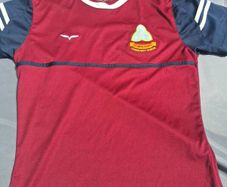 St. Wolstan's P.E. t-shirt size small