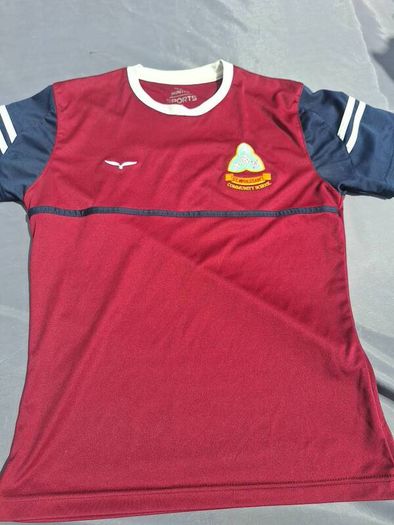 St. Wolstan's P.E. t-shirt size small