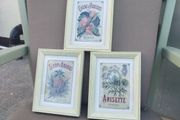 Set of 3 Vintage French Botanical / Botanical Beverage Framed Prints (Pineapple, Apricot, Anisette)