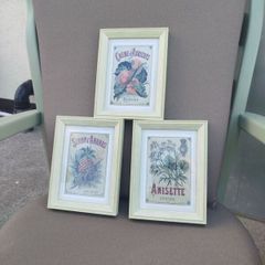 Set of 3 Vintage French Botanical / Botanical Beverage Framed Prints (Pineapple, Apricot, Anisette)