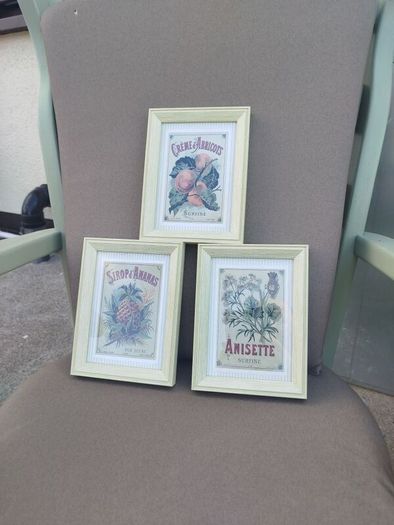 Set of 3 Vintage French Botanical / Botanical Beverage Framed Prints (Pineapple, Apricot, Anisette)