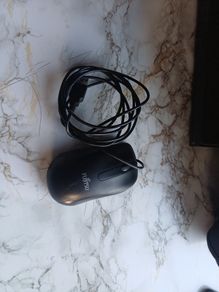 mouse