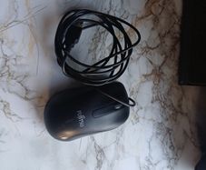 mouse