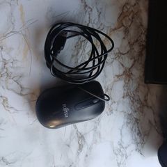 mouse