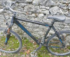 Carrera  Mens Mountain Bike