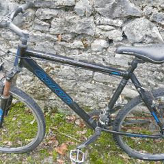 Carrera  Mens Mountain Bike