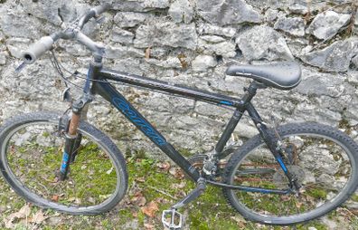 Carrera  Mens Mountain Bike