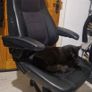 office chair Image 2