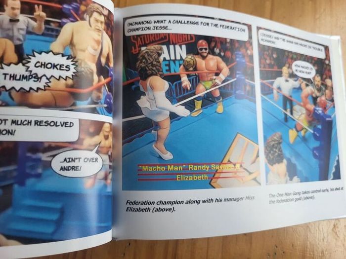 Wrestling Figure Photobook