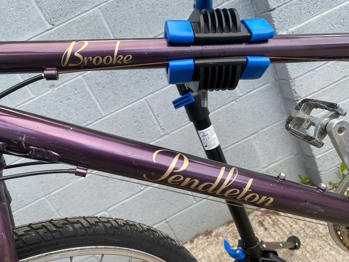Pedleton Brooke