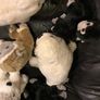 Soft Animal Teddies Image 2