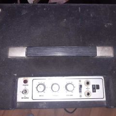 Polytone Mini/Teeny Brute