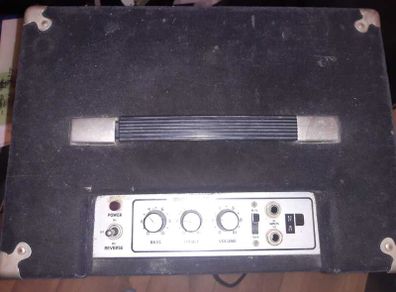 Polytone Mini/Teeny Brute