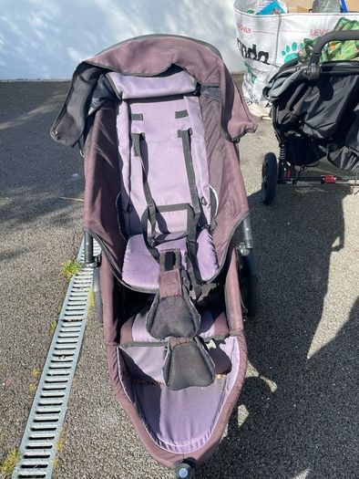phil and teds sport buggy
