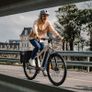 FIIDO NOMADS Touring Electric Bike Image 7