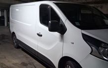 man with a medium size van