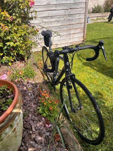 Genesis road bike