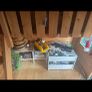 kids playhouse Image 7