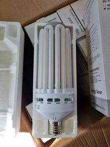 lightbulbs