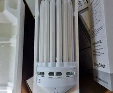 lightbulbs