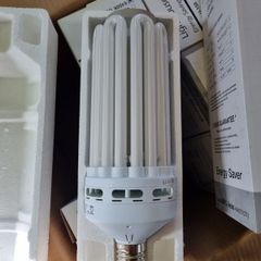 lightbulbs