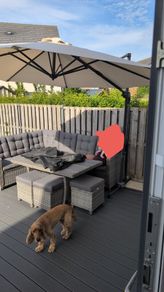 garden furniture
