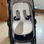 Buggy Image 9