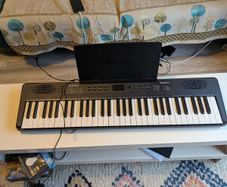 Alesis Large Keyboard