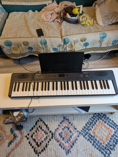 Alesis Large Keyboard