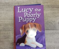 Lucy the poorly Puppy Holly Webb