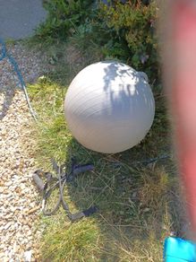 exercise ball