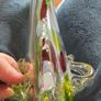 Vintage Murano Glass Fish Image 4