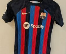 Authentic Barcelona 2021 Nike Shirt Jersey