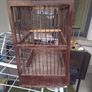bird finch canary hopper cage I gave my birds away Image 5