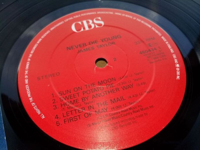 James Taylor 12in Vinyl