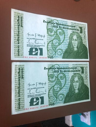 Two irish one pound punt notes