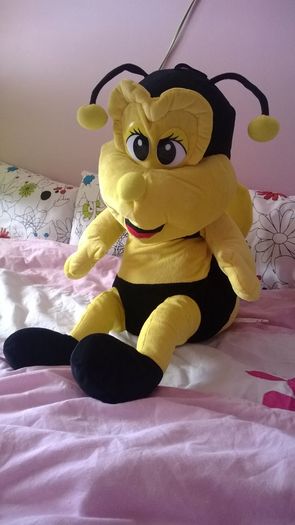 Beautiful Large Bee