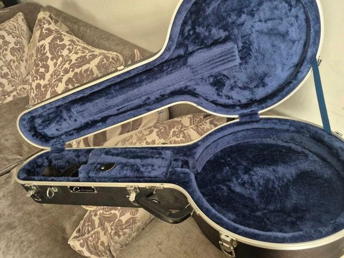 Banjo case, Clareen hardcase