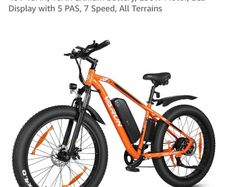 electric ebike