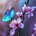 kerryl24497