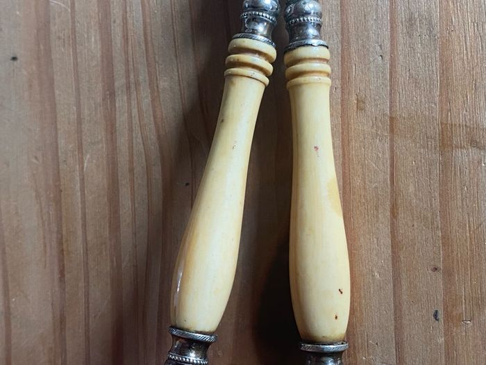 Vintage Silver Plated Grape Scissors Bone Handle