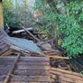 Firewood Image 5