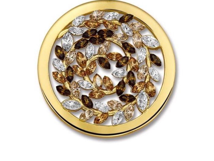 Mi moneda large coin