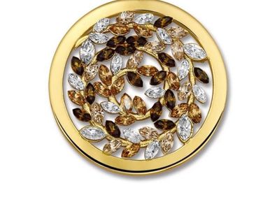 Mi moneda large coin