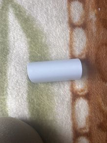 earphones