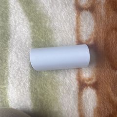 PlayStation earbuds